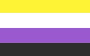 flagge der nicht-binären: schwarz-violett-weiß-gelb